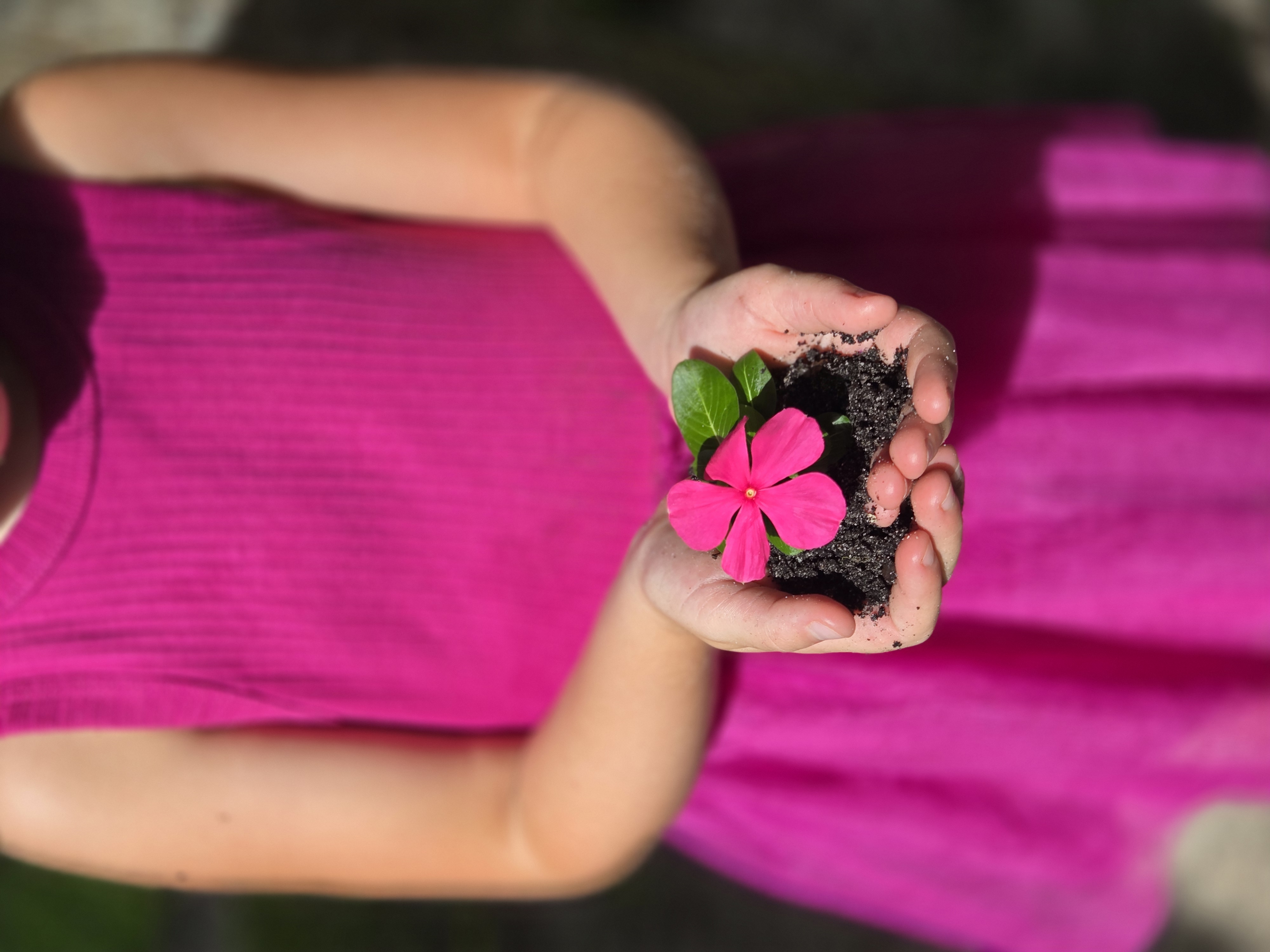 Children exploring nature at Sprout and Sky