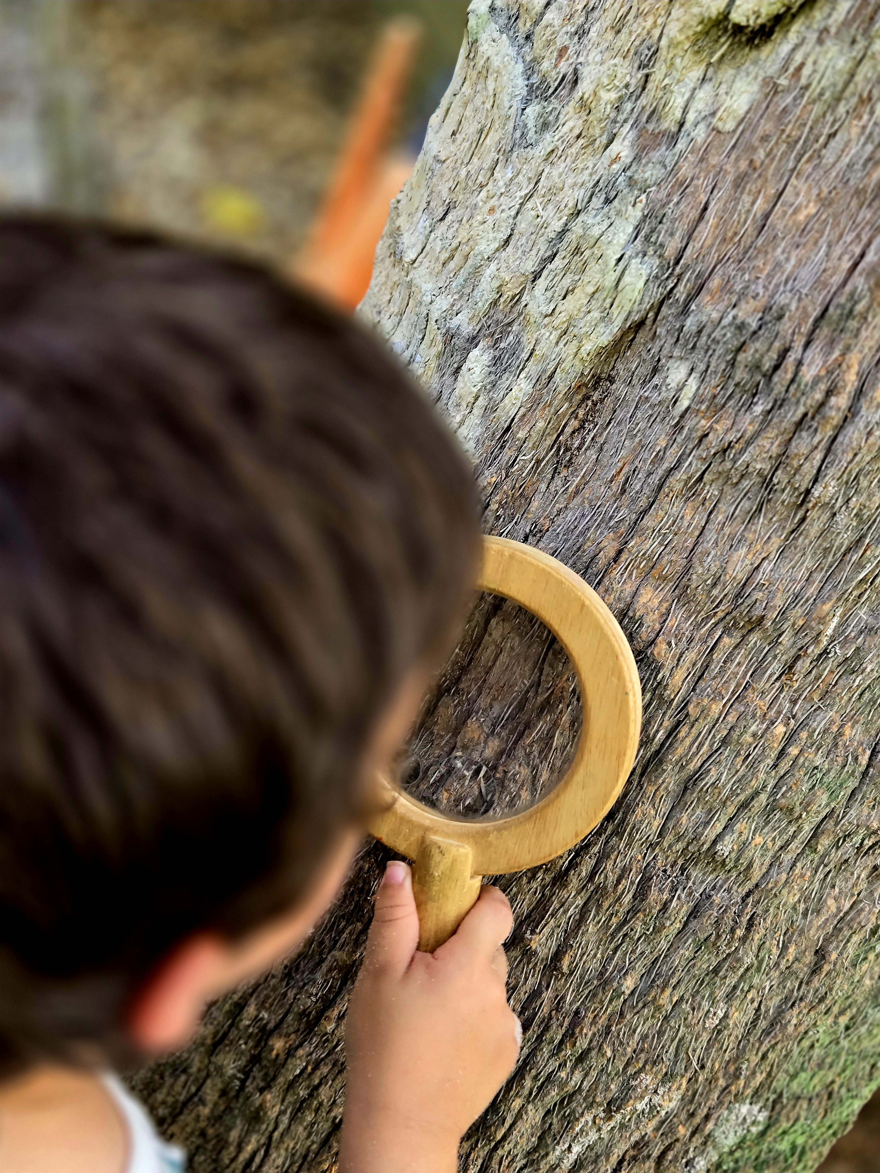 Children exploring nature at Sprout and Sky