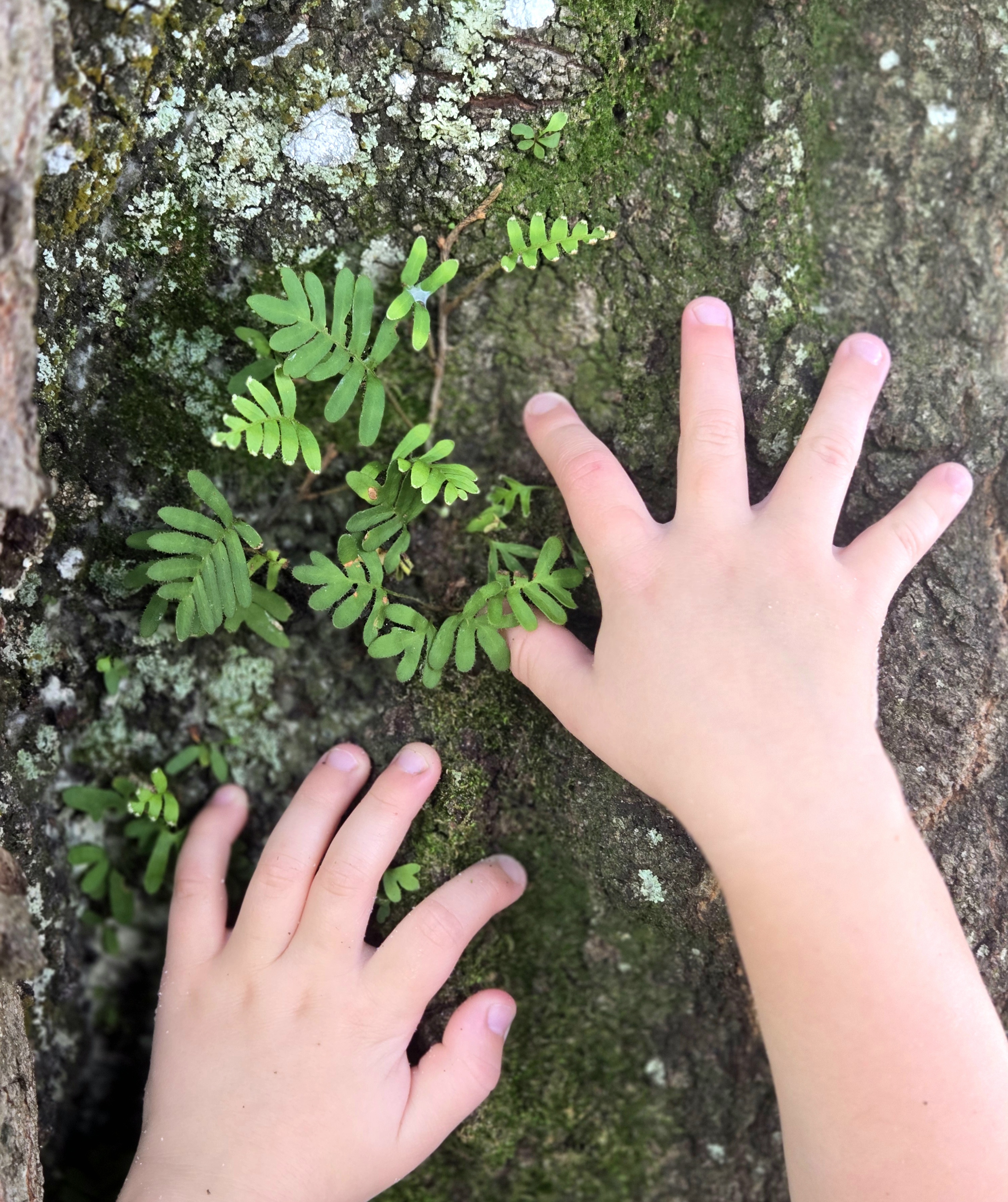 Children exploring nature at Sprout and Sky