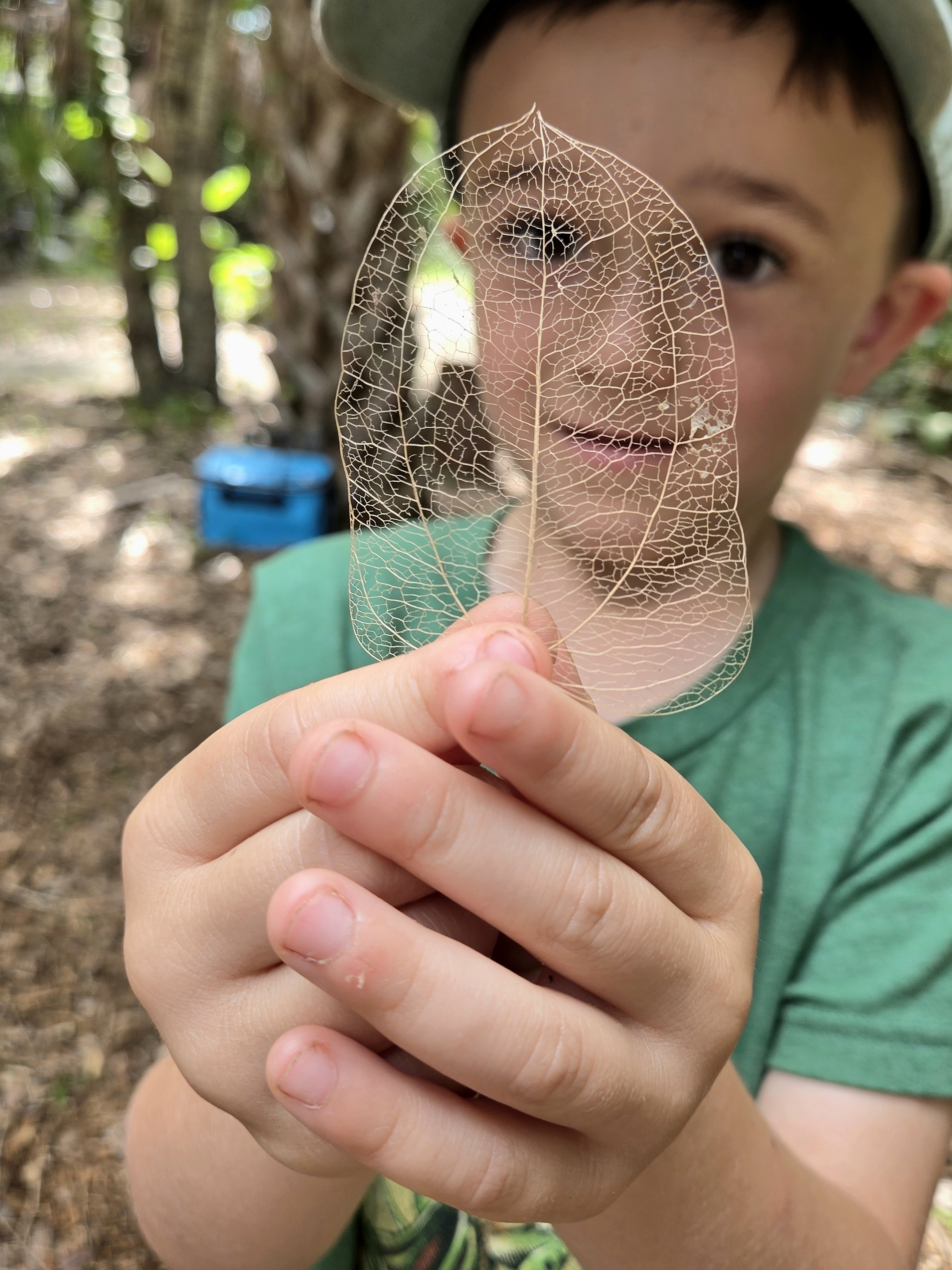 Children exploring nature at Sprout and Sky