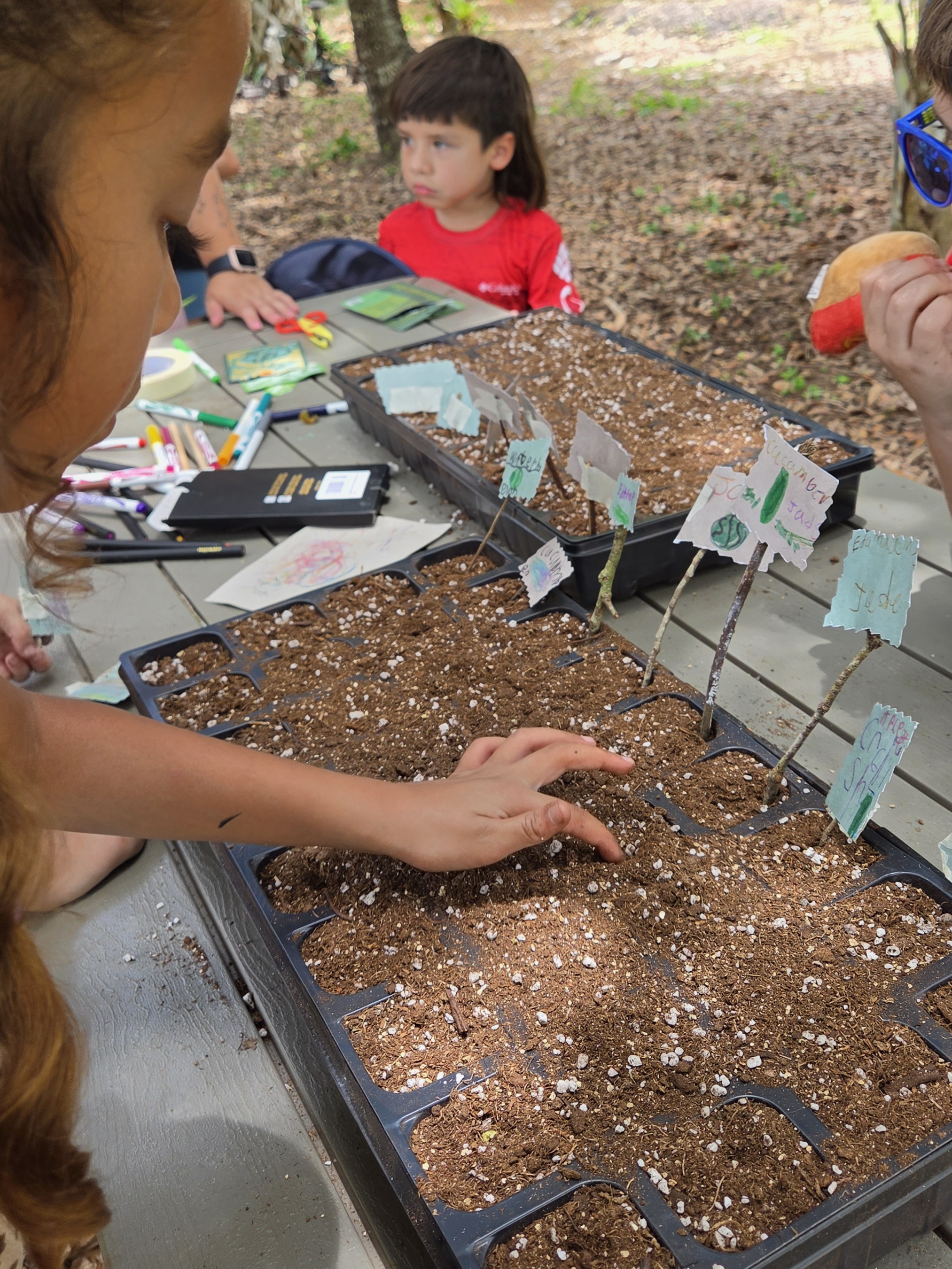 Children exploring nature at Sprout and Sky Summer Camp