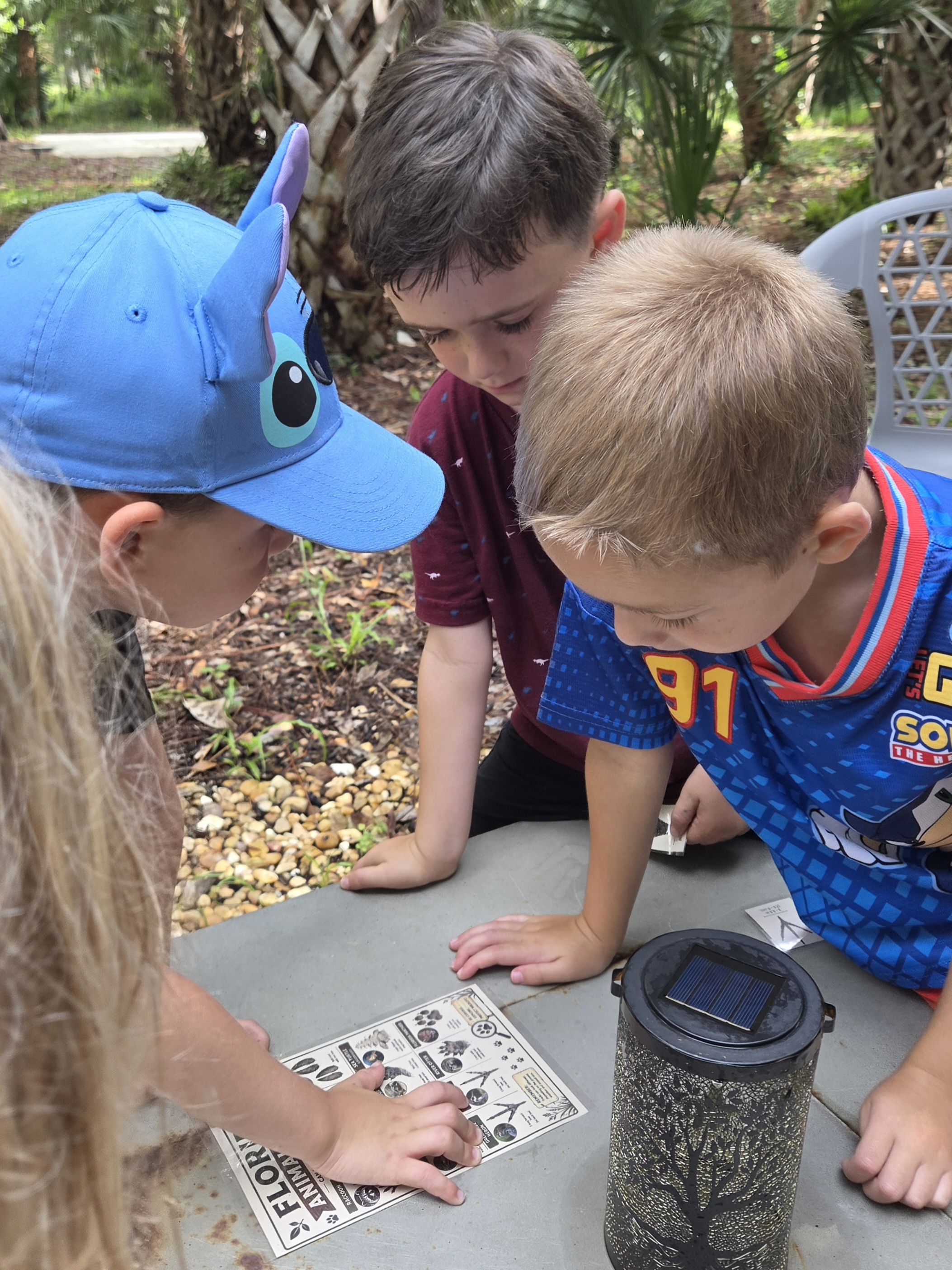 Children exploring nature at Sprout and Sky Summer Camp