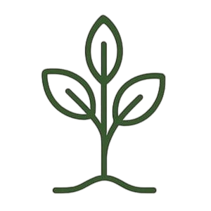 Growth through Wisdom